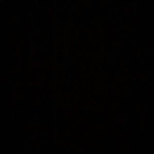 Meet your Posher, Latriel